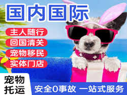 徐州观音空运国际宠物托运 【国
